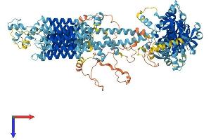 ADCY6 Protein (AA 1-1165) (His tag)