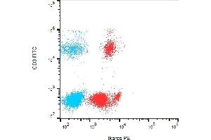 Flow cytometry analysis (intracellular staining) of Ikaros in human peripheral blood leukocytes with anti-Ikaros (4E9) PE. (IKZF1 抗体  (C-Term) (PE))