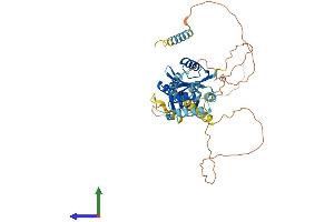 Protein Structure (PS) image for Cerebral Cavernous Malformation 2 (CCM2) (AA 1-444) protein (His tag) (ABIN7552982)