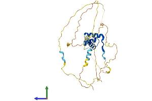 AlphaFold protein structure predicition of Human Recombinant PITX1 Protein, UniprotID P78337