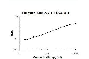Human MMP-7 PicoKine ELISA Kit standard curve (MMP7 ELISA 试剂盒)