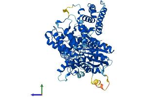Protein Structure (PS) image for Sec1 Family Domain Containing 2 (SCFD2) (AA 1-684) protein (His tag) (ABIN7558888)