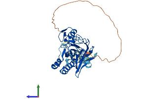 Protein Structure (PS) image for Aprataxin (APTX) (AA 1-342) protein (His tag) (ABIN7558269)