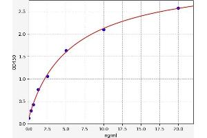 Typical standard curve (SYNGAP1 ELISA 试剂盒)