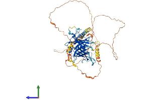 AlphaFold protein structure predicition of Human Recombinant TULP1 Protein, UniprotID O00294