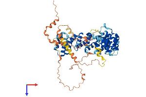 AlphaFold protein structure predicition of Human Recombinant HEATR9 Protein, UniprotID A2RTY3
