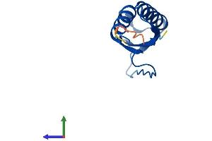 AlphaFold protein structure predicition of Human Recombinant DYNLT3 Protein, UniprotID P51808