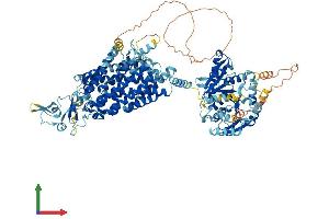 Protein Structure (PS) image for Solute Carrier Family 12 (Potassium-Chloride Transporter) Member 7 (SLC12A7) (AA 1-1083) protein (His tag) (ABIN7555397)