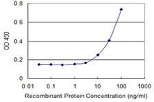 Detection limit for recombinant GST tagged FBXW12 is 3 ng/ml as a capture antibody. (FBXW12 抗体  (AA 265-354))