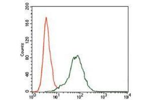 Flow cytometric analysis of HepG2 cells using IGF2 mouse mAb (green) and negative control (red). (IGF2 抗体  (AA 25-180))