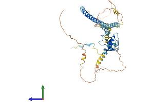 Protein Structure (PS) image for Peroxisomal Biogenesis Factor 13 (PEX13) (AA 1-405) protein (His tag) (ABIN7560838)