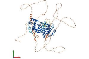 AlphaFold protein structure predicition of Mouse Recombinant Hunk Protein, UniprotID O88866 (HUNK Protein (AA 1-714) (His tag))
