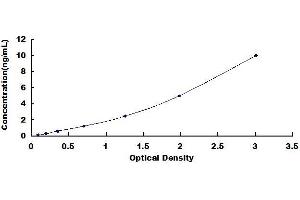 Typical standard curve (Cytokeratin 1 ELISA 试剂盒)
