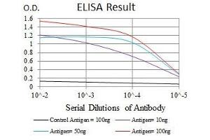 Black line: Control Antigen (100 ng), Purple line: Antigen(10 ng), Blue line: Antigen (50 ng), Red line: Antigen (100 ng), (C17orf53 抗体  (AA 282-527))