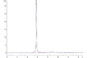 The purity of Human PSMP is greater than 95 % as determined by SEC-HPLC.