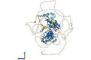 AlphaFold protein structure predicition of Mouse Recombinant Rfc1 Protein, UniprotID P35601