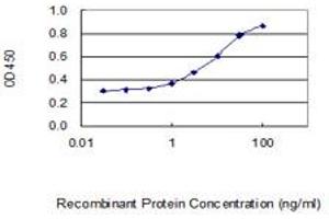 Detection limit for recombinant GST tagged C1orf31 is 0. (COA6 抗体  (AA 1-125))