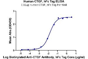 ELISA image for Connective Tissue Growth Factor (CTGF) (AA 27-349) protein (Fc Tag) (ABIN7274341)