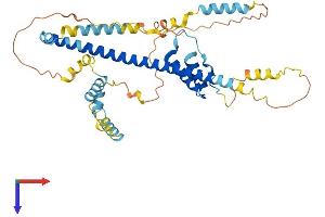 FEZ1 Protein (AA 1-392) (His tag)