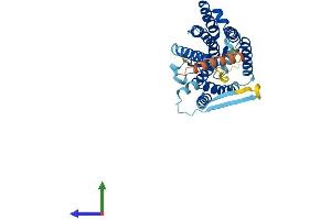 Protein Structure (PS) image for Histocompatibility 13 (H13) (AA 1-377) protein (His tag) (ABIN7554098)