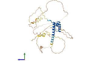 Protein Structure (PS) image for NK2 Homeobox 1 (NKX2-1) (AA 1-372) protein (His tag) (ABIN7563354)