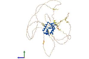 Protein Structure (PS) image for Forkhead Box N4 (FOXN4) (AA 1-521) protein (His tag) (ABIN7564657)