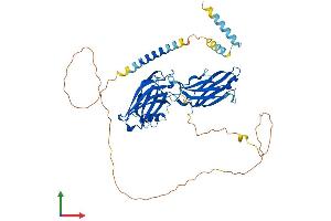 AlphaFold protein structure predicition of Human Recombinant SYT9 Protein, UniprotID Q86SS6