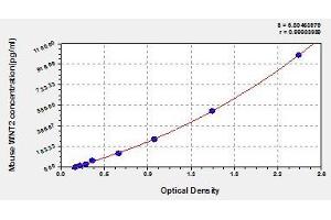Typical standard curve (WNT2 ELISA 试剂盒)