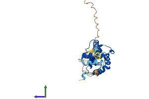 AlphaFold protein structure predicition of Human Recombinant SPDYE7P Protein, UniprotID Q495Y7