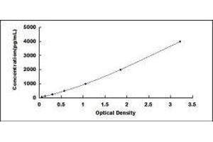 Triggering Receptor Expressed On Myeloid Cells 2 (TREM2) ELISA Kit