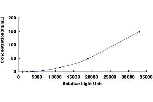 ELISA image for Glucokinase (Hexokinase 4) (GCK) CLIA Kit (ABIN492086)