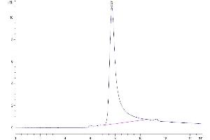 Size-exclusion chromatography-High Pressure Liquid Chromatography (SEC-HPLC) image for Tumor Necrosis Factor alpha (TNF alpha) (AA 77-233) protein (His-Avi Tag) (ABIN7275766)
