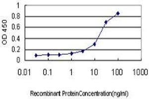 Detection limit for recombinant GST tagged FLJ20643 is approximately 1ng/ml as a capture antibody. (PIH1D1 抗体  (AA 1-290))