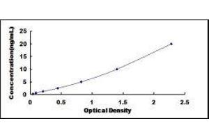 Cyclin-Dependent Kinase 5 (CDK5) ELISA Kit