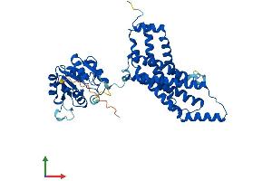 Protein Structure (PS) image for STEAP Family Member 4 (STEAP4) (AA 1-459) protein (His tag) (ABIN7555637)
