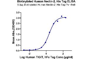 Immobilized Biotinylated Human Nectin-2, His Tag at 5 μg/mL (100 μL/well) on the plate.