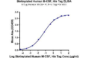 ELISA image for Colony Stimulating Factor 1 (Macrophage) (CSF1) (AA 33-190) protein (His-Avi Tag,Biotin) (ABIN7274426)