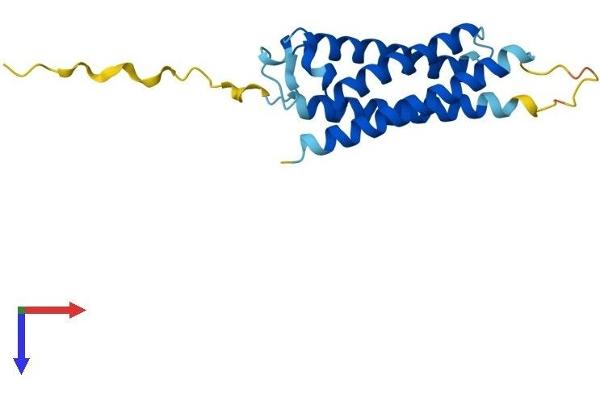 MAL2 Protein (AA 1-175) (His tag)