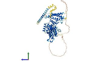 Protein Structure (PS) image for Spastin (SPAST) (AA 1-616) protein (His tag) (ABIN7555600)