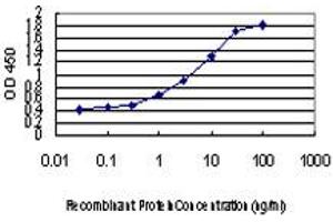 Detection limit for recombinant GST tagged TEAD4 is approximately 0. (TEAD4 抗体  (AA 151-260))