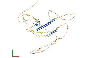 AlphaFold protein structure predicition of Mouse Recombinant Dmrtc2 Protein, UniprotID Q8CGW9