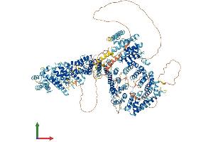 AlphaFold protein structure predicition of Mouse Recombinant Ncapd3 Protein, UniprotID Q6ZQK0
