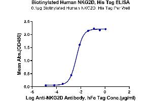 ELISA image for Killer Cell Lectin-Like Receptor Subfamily K, Member 1 (KLRK1) (AA 78-216) protein (His-Avi Tag,Biotin) (ABIN7275343)