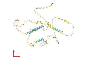 Protein Structure (PS) image for KIAA1191 (KIAA1191) (AA 1-305) protein (His tag) (ABIN7550483)