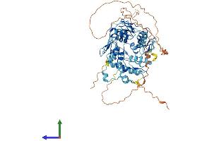Protein Structure (PS) image for Zinc Finger Protein 169 (ZNF169) (AA 1-603) protein (His tag) (ABIN7545307)