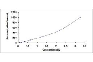 Low Density Lipoprotein Receptor-Related Protein 2 (LRP2) ELISA Kit