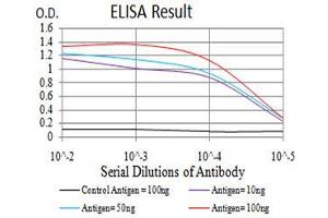 Black line: Control Antigen (100 ng);Purple line: Antigen (10ng); Blue line: Antigen (50 ng); Red line:Antigen (100 ng) (SEC31A 抗体  (AA 429-571))