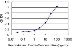 Detection limit for recombinant GST tagged HOXC12 is approximately 0. (HOXC12 抗体  (AA 1-100))