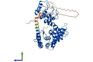 Protein Structure (PS) image for Ankyrin Repeat and MYND Domain Containing 2 (ANKMY2) (AA 1-441) protein (His tag) (ABIN7552183)