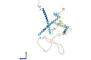 Protein Structure (PS) image for CWC25 Spliceosome-Associated Protein Homolog (CWC25) (AA 1-425) protein (His tag) (ABIN7546938)